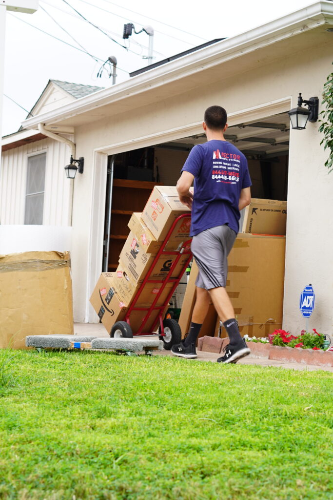 Mira Mesa movers